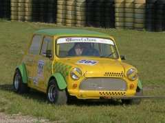 Mini (BCT-Gruppe 2 - verbessert)