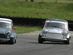 Mini 209