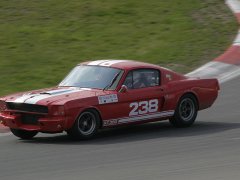 Shelby Mustang GT 35