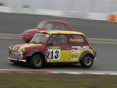 Mini 213