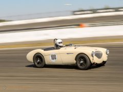 Austin Healey 100