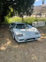 Vom Schnellsportwagen bis zum XJ220: Die Highlights des Grand Meeting 2026
