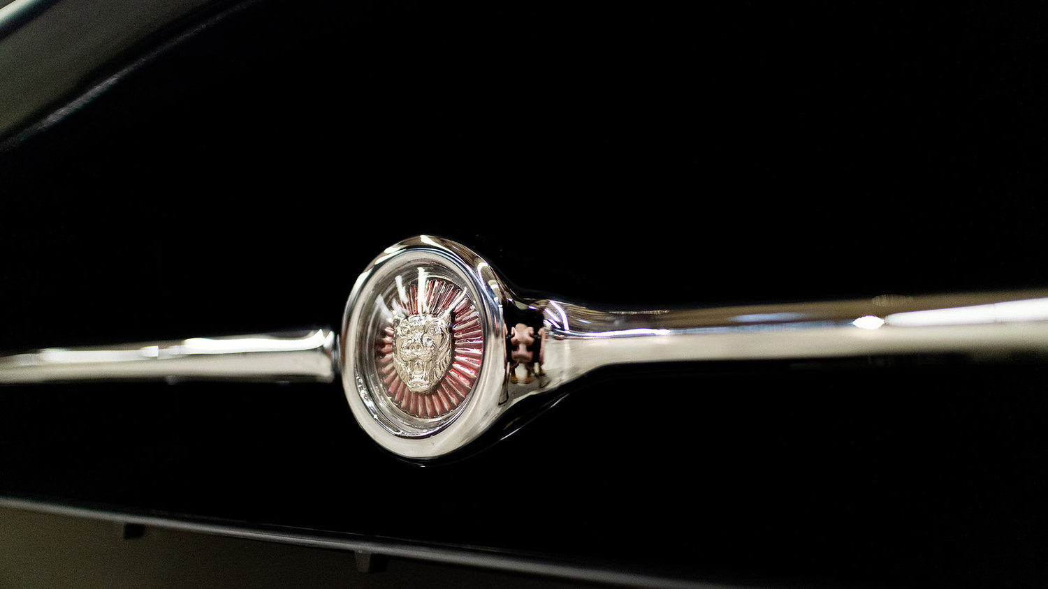 Die Katze im Grill des Jaguar E-Type