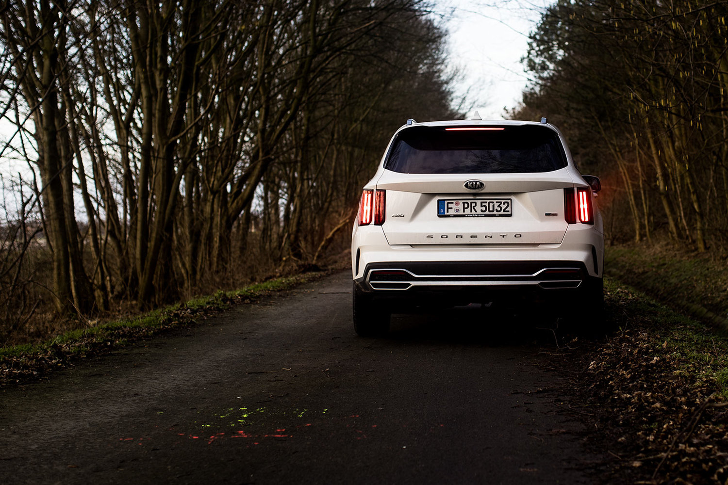 Heckansicht des KIA Sorento 1.6 T-GDI AWD ecoHybrid (2021)