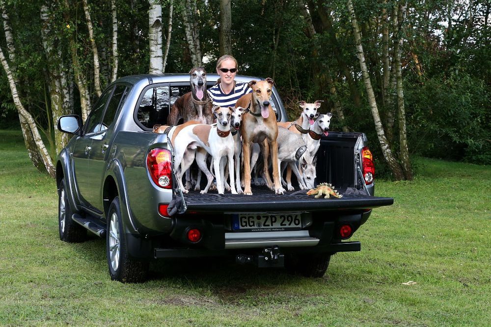 Wie viele Windhunde passen auf die Ladefläche des Mitsubishi L200 2.5 DI-D+ 4WD?