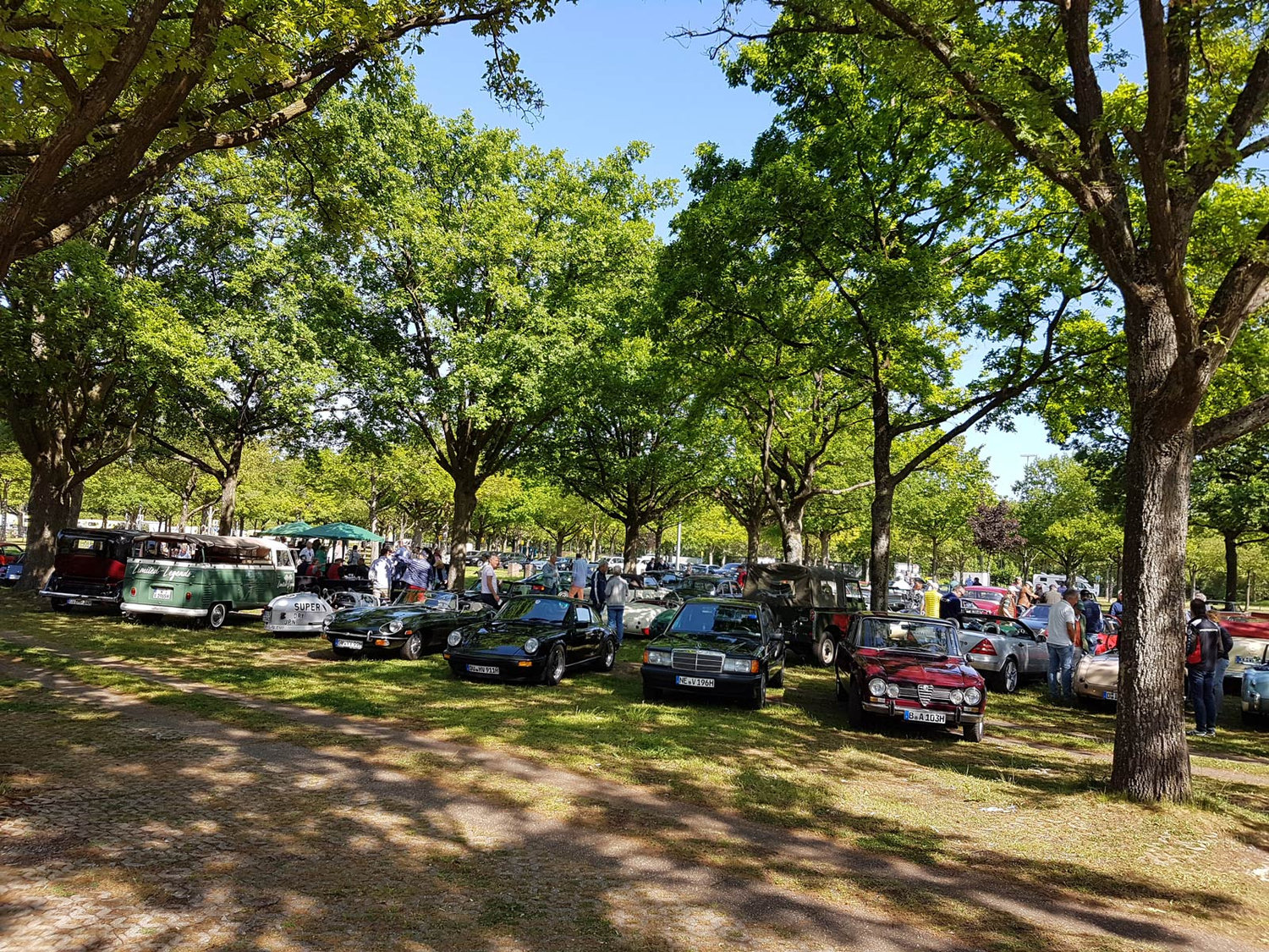 Proboeparken für die Classic Days 2022