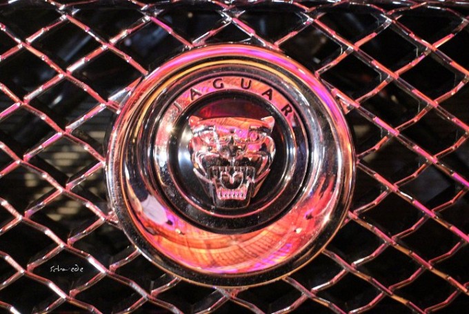 Das Gesicht der Marke – Kühlerkatze am Jaguar F-Type